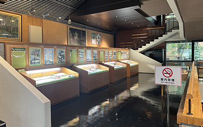 Hokkaido University Museum